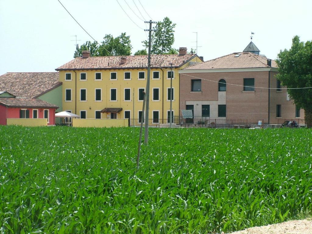 Bb Mambrotta Guest House San Martino Buon Albergo Exterior foto